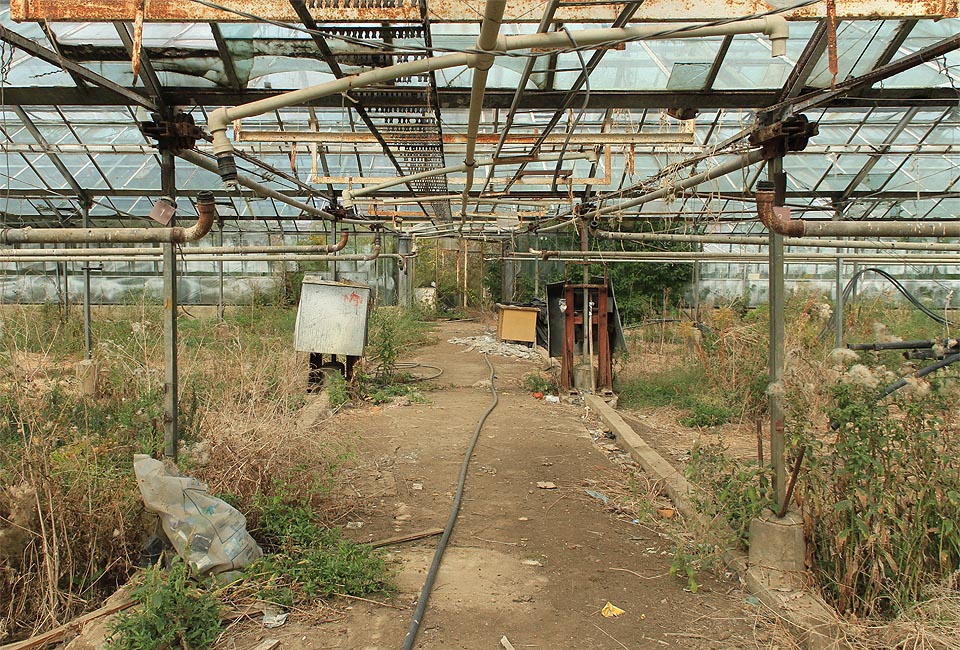 Skleníky za ulicí Kikrleho