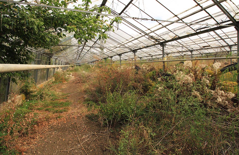 Místa je tu dost a dost. Třeba na uspořádání tanečního večera pod hvězdami.