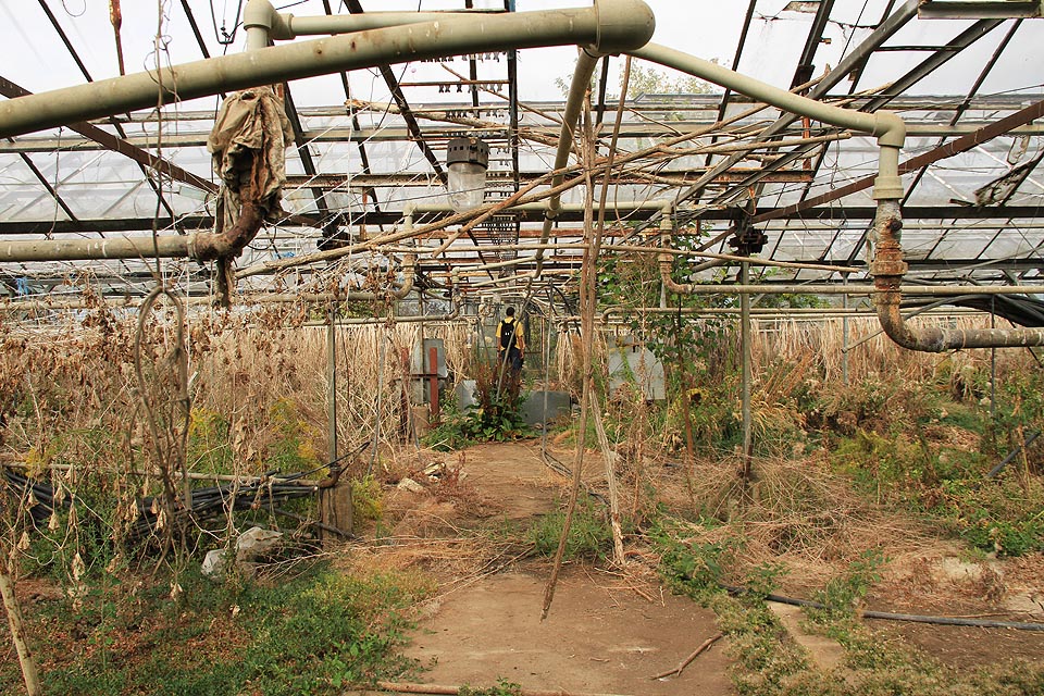 Zavlažovací systém se vyvíjel, stejně jako nosné konstrukce pro přebujelé rostlinstvo.