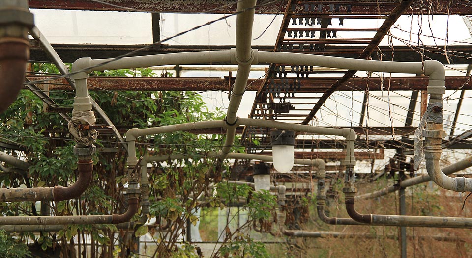 …hrou divnou, v propletu, již zvuk jen nastiňoval, jenž - vyplašený pták - se v rýhách skalin schoval, by dál v nich stupňoval svá zmírající echa…