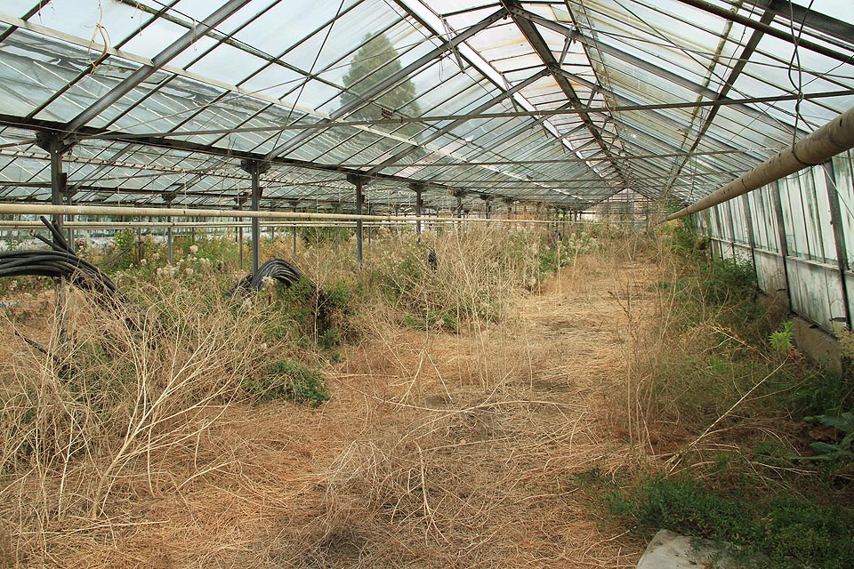 …barvy léta už jsou dávno vyprahlý, cesty mění tvář, rezaví i louka, šlapej kam tě táhne srdce toulavý…