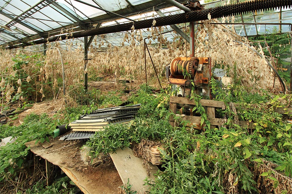 A tak nehledí na kopřivy a snaží se k němu dostat blíž…