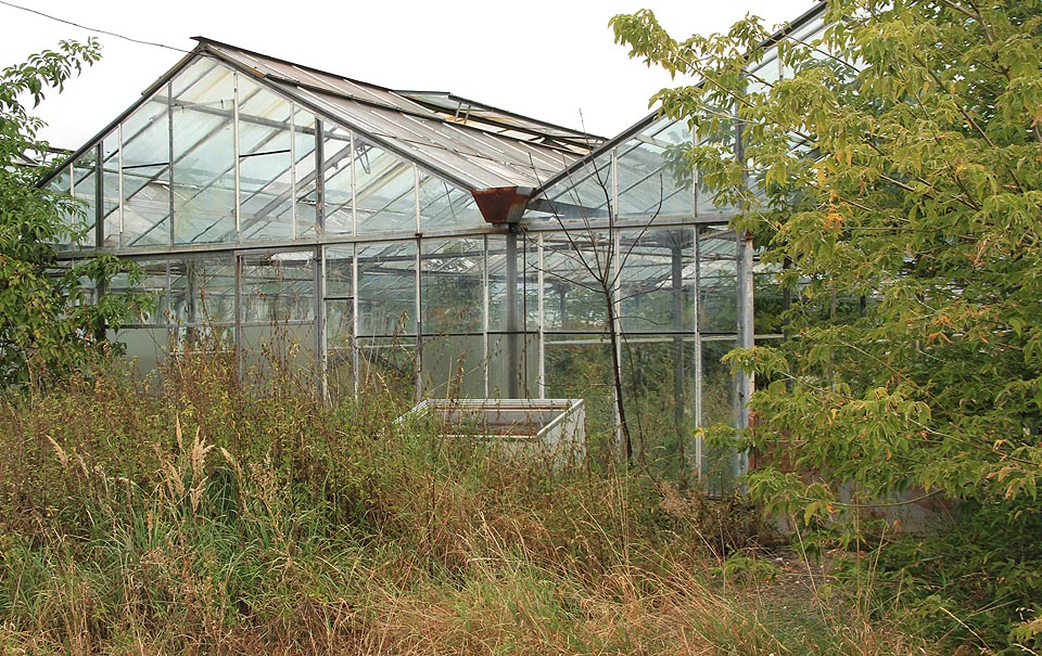 Skleníky jsou v relaitvně dobrém stavu, uzavřené před zvědavci.