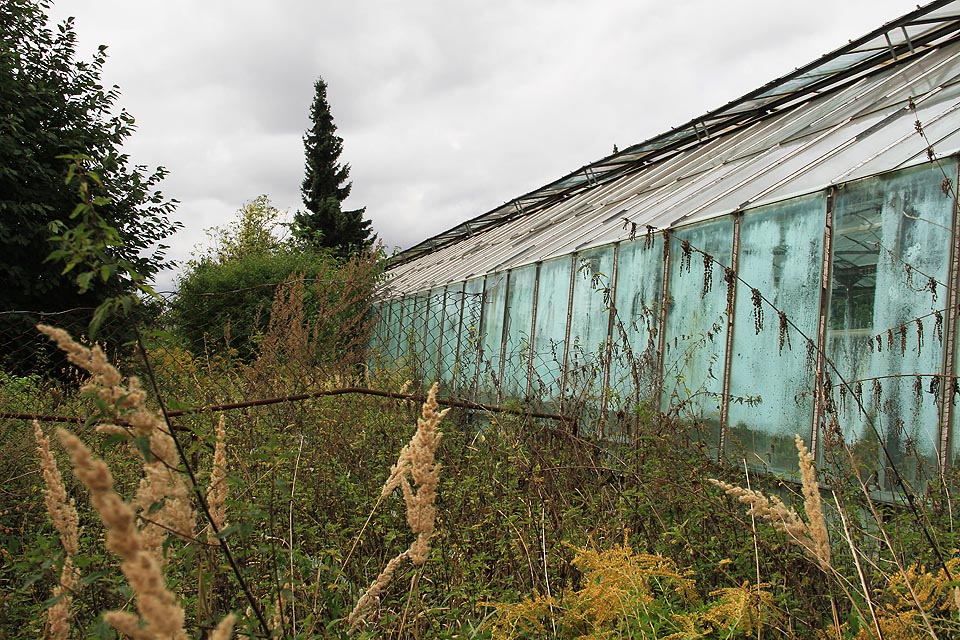 Mezi nimi bují husté kopřivové porosty. Tudy cesta dovnitř nevede.