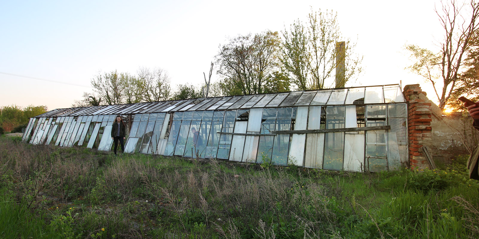 Západní skleník při západu slunce.