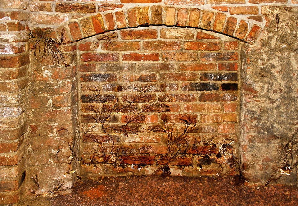 Směrem z kopce, tj. k severovýchodu, vede rovnoběžně s Orlí ulicí zazděná chodba. Za příčkou je zával a za ním možná dosud neobjevené podzemní prostory. Z nich vychází kořínky, které prorůstají zdí a vytváří na ní vějíře jako obrazce z ilustrací Pavla Čecha.