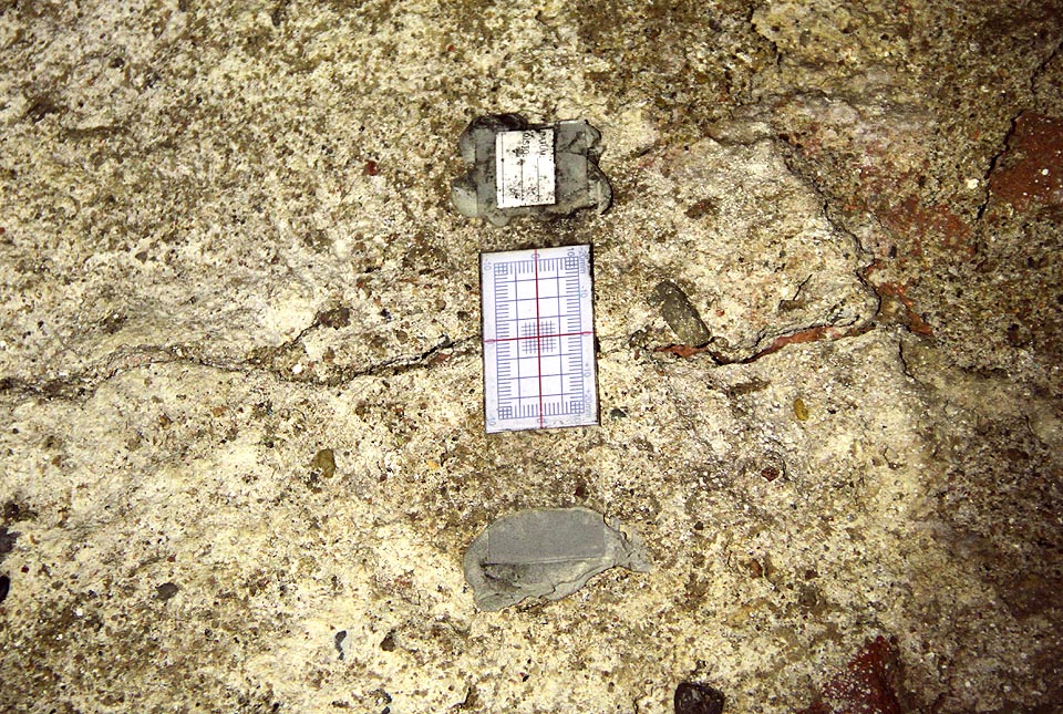 Umístění sklepů přímo pod ulicí je potenciálně problematické. V roce 1993 se zde neznámá slečna propadla do polozasypaného sklepa, jen několik desítek centimetrů za zdí sklepa prohází kolektor, po povrchu jezdí těžká auta. Je proto na místě, sledovat, zda se praskliny ve zdivu nezvětšují. (Nezvětšují.)