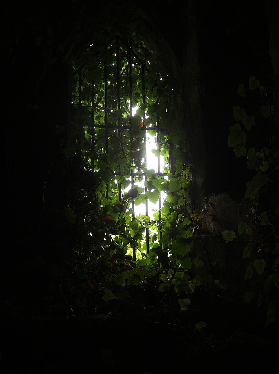 Sklepy pod náměstím Na Marku