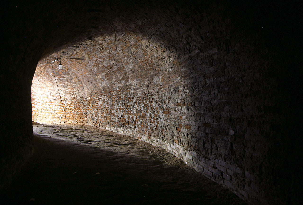 Sklepy za domem Hlinky 64