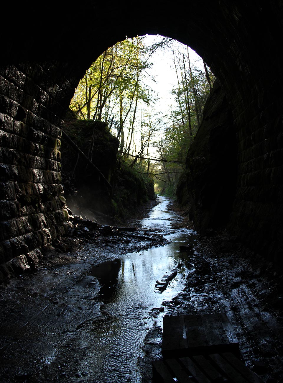 Poslední pohled na světlo světa.
