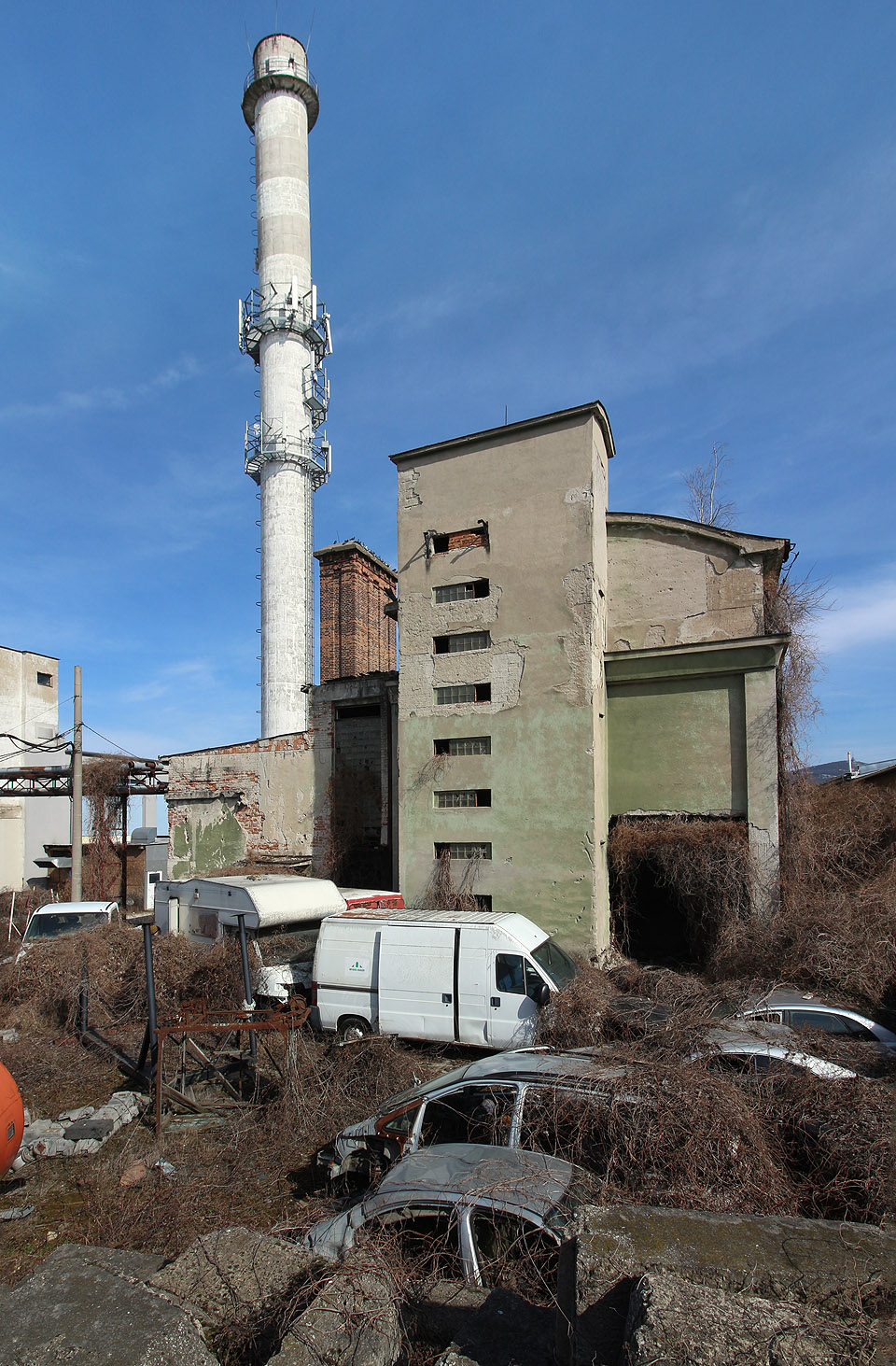 Zajímavé zátiší tvoří sbírka autovraků jižně od kotelny, obrůstajících šlahouny psího vína.