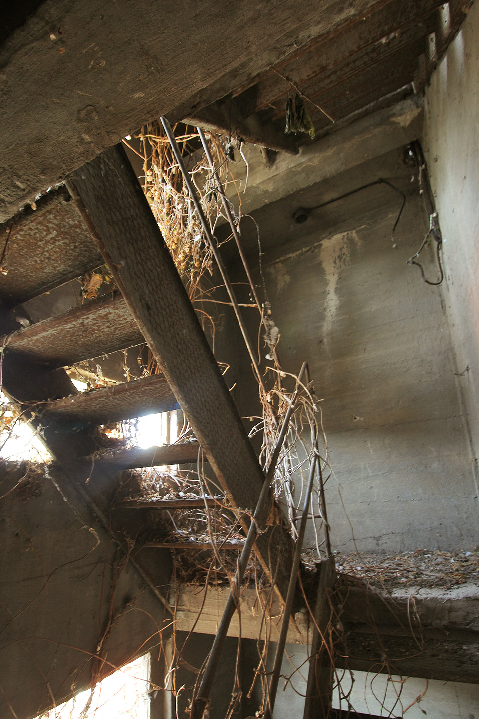 Na jižní straně budovy se nachází pohádkové schodiště, prorostlé popínavými rostlinami, ve kterých hnízdní hejna ptáků.