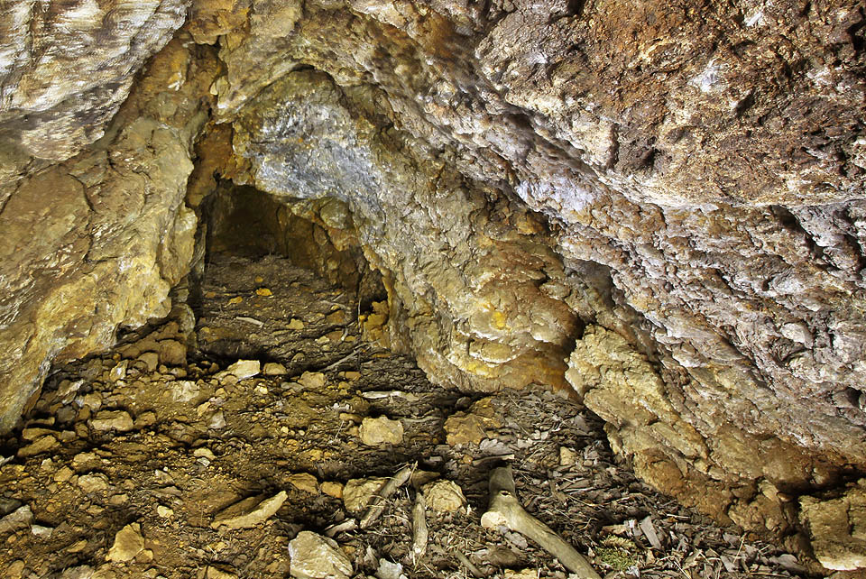 Vstup do štoly vede stísněnou plazivkou, za kterou se nachází doupě lesní zvěře tvořící určitou předsíň. Na zemi je vrstva suché trávy, dřeva a kostí. Dále se profil chodeb mírně zvětšuje.