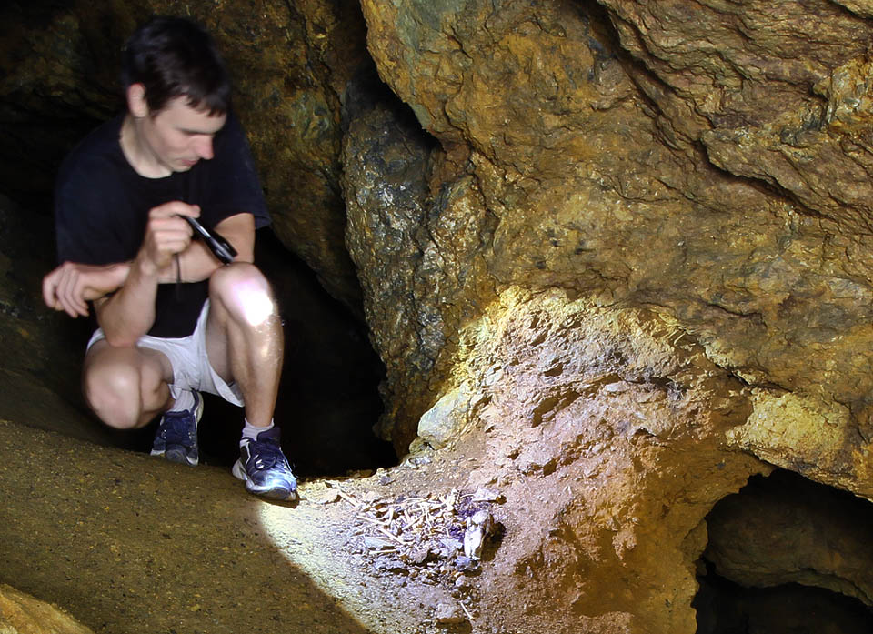 …zřejmě lišek, které buď zabloudily v labyrintu chodeb a nedokázaly najít potmě cestu zpátky nebo spíš přišly s cílem zamřít v temnotách podzemního světa.