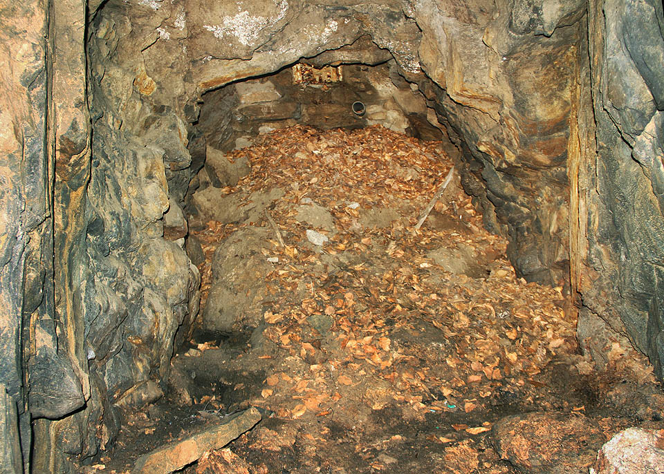 Vstup do štoly je zavalen a částečně zazděn kameny a sutí.