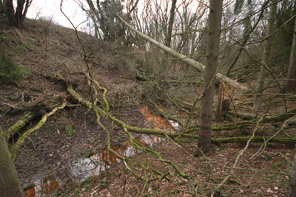 Ten, kdo si chce zkrátit cestu od <a href="/Tema/Doubravice nad Svitavou (žzast)">železniční zastávky v Doubravici</a> na Chlumy údolím Klemovského potoka, brzo narazí nejen na neprostupný terén, ale taky na podezřele oranžovou vodu v potoce.