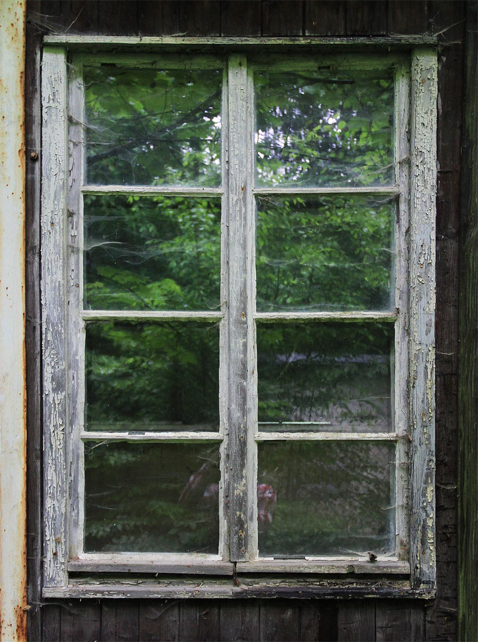 Romantika srubů v daleké divočině.