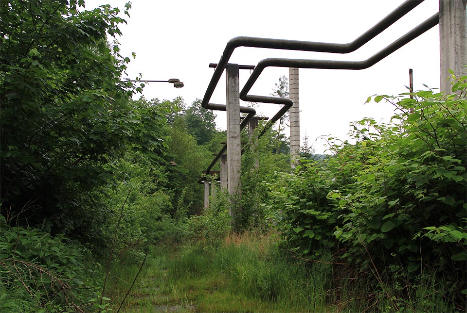 Bujnou džunglí se proplétá potrubí jako ze slavného spořiče obrazovky pro Windows.