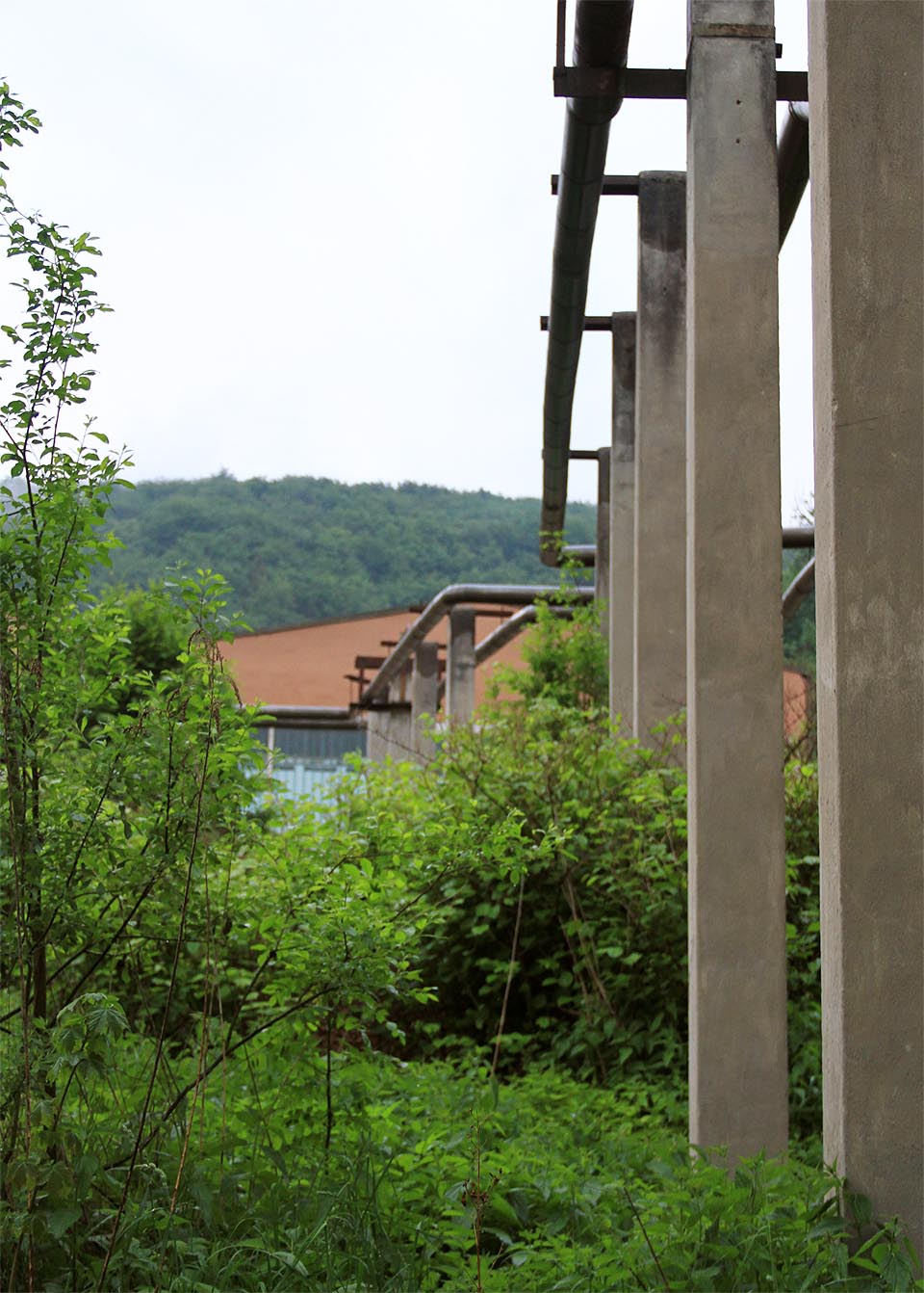 Štíhlé stojky potrubí parovodu obrůstají křovím. Na všechny strany je vidět les.