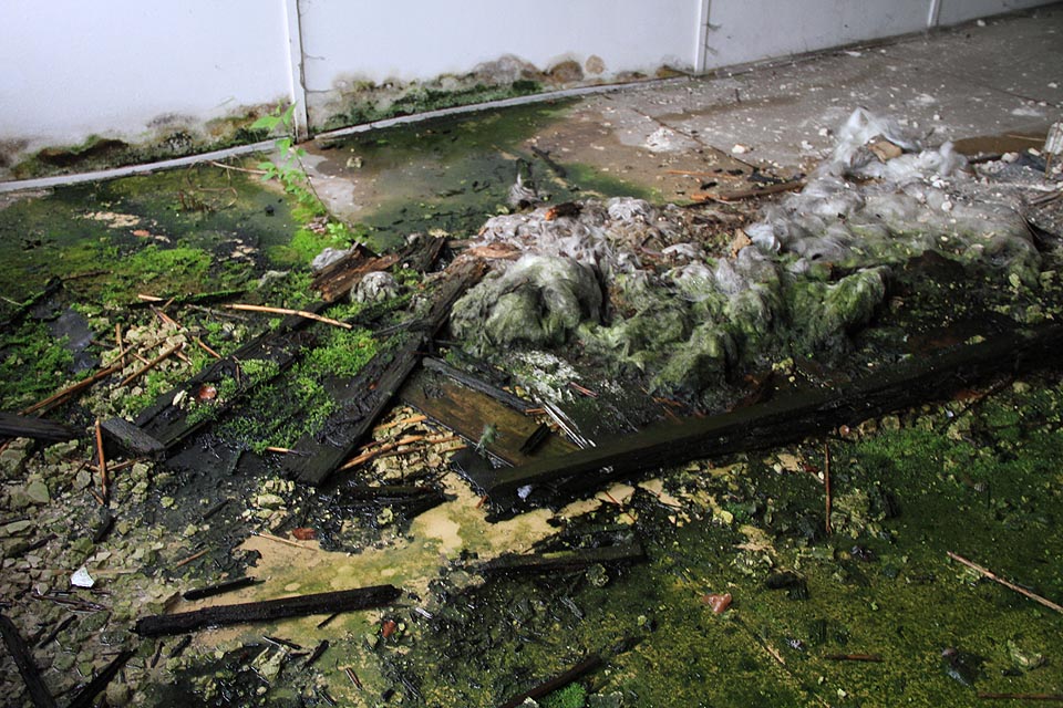 Podleha vypadá místy jako modelová železnice, ovšem bez té železnice.