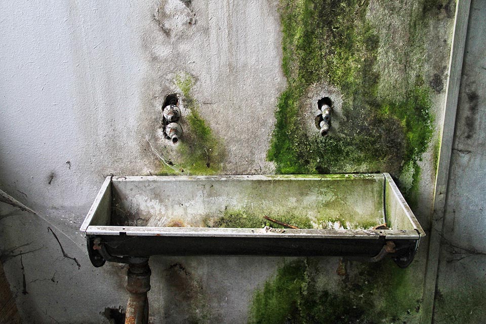 Design koupený, jaký vám ani v nejdražším studiu nevymyslí.