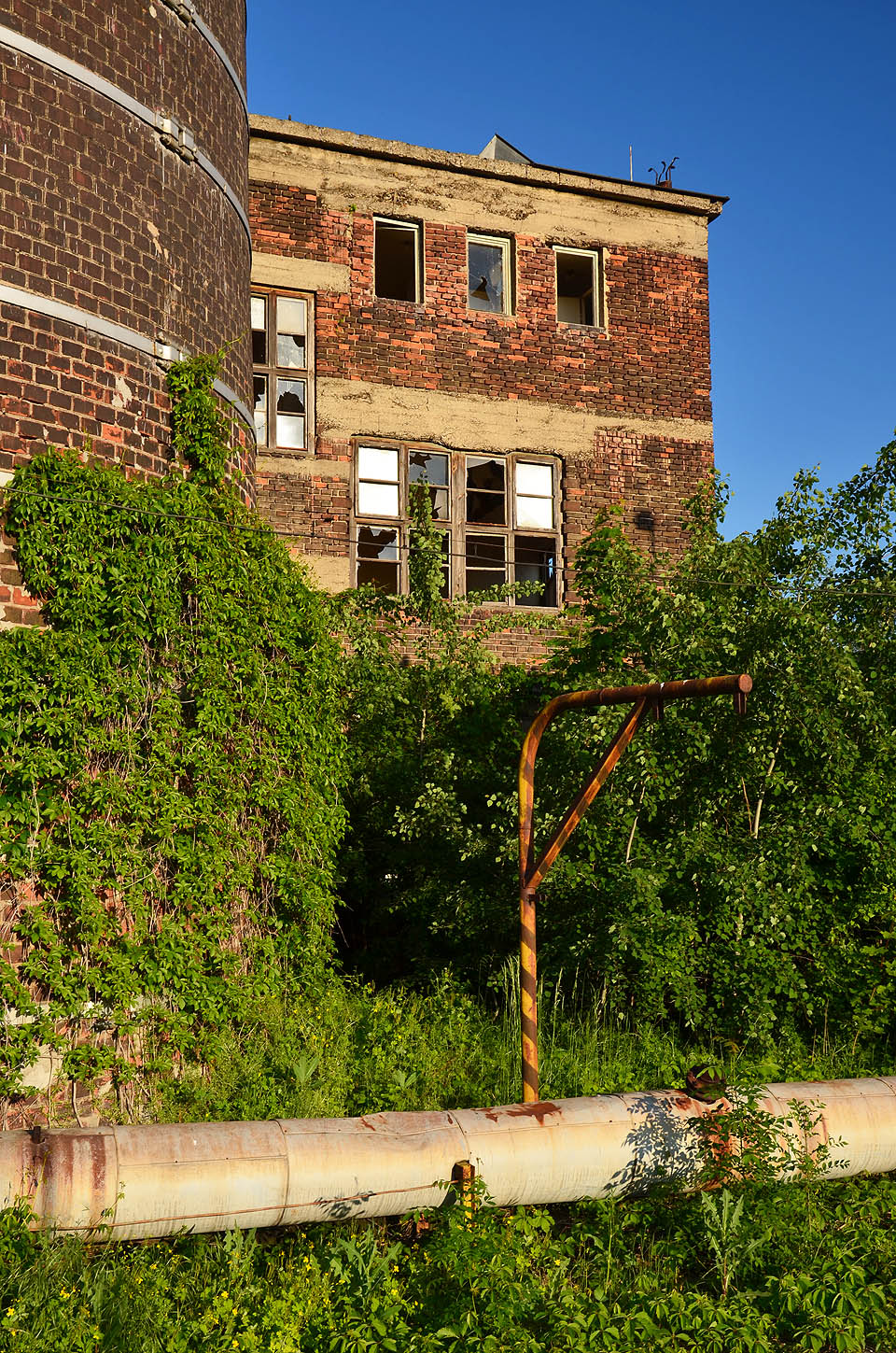 Zátiší mezi jižním komínem a jižním objektem dílen.