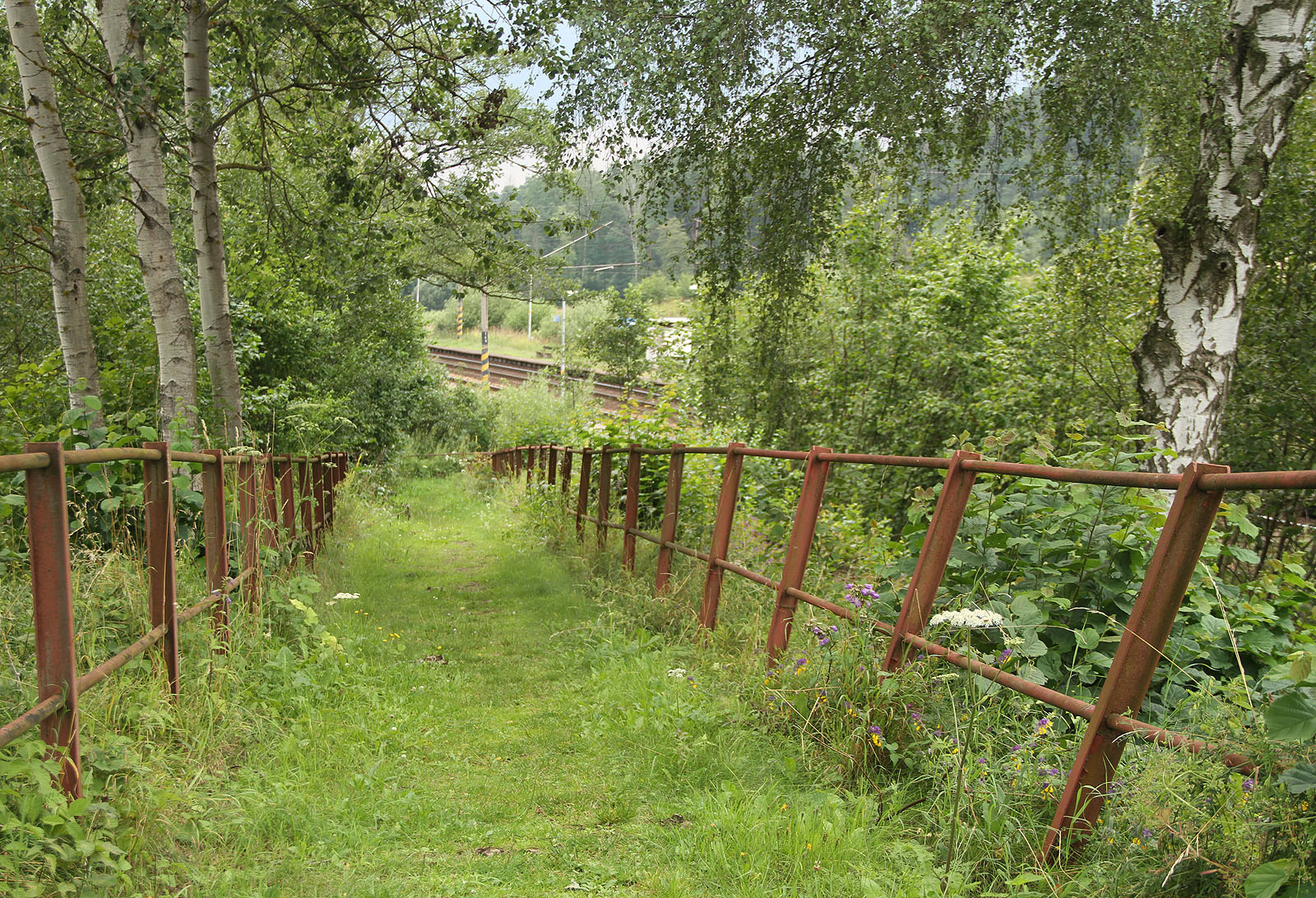 Cesta k železniční zastávce Stříbrné Hory (nástupiště směr Brno) vypadá trošku jako stezka k zámku Šípkové Růženky.