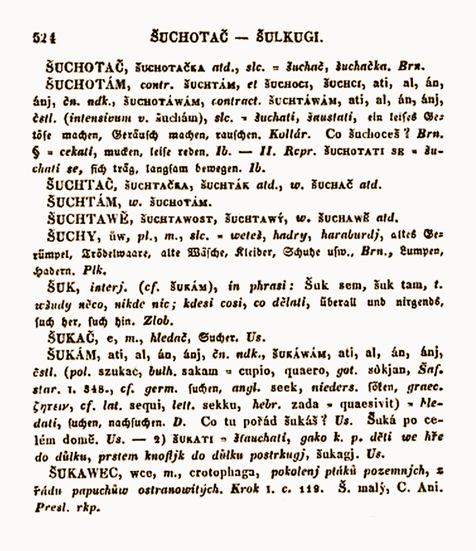 Slovo šuchtač (včetně variant šuchotač a šukač) uvádí víceméně v současném významu už Jungmannův Slownik česko-německý z roku 1838; najdeme je ve 4. svazku na straně 524. Ženská varianta šuchtačka se ovšem v současnosti již nepoužívá.