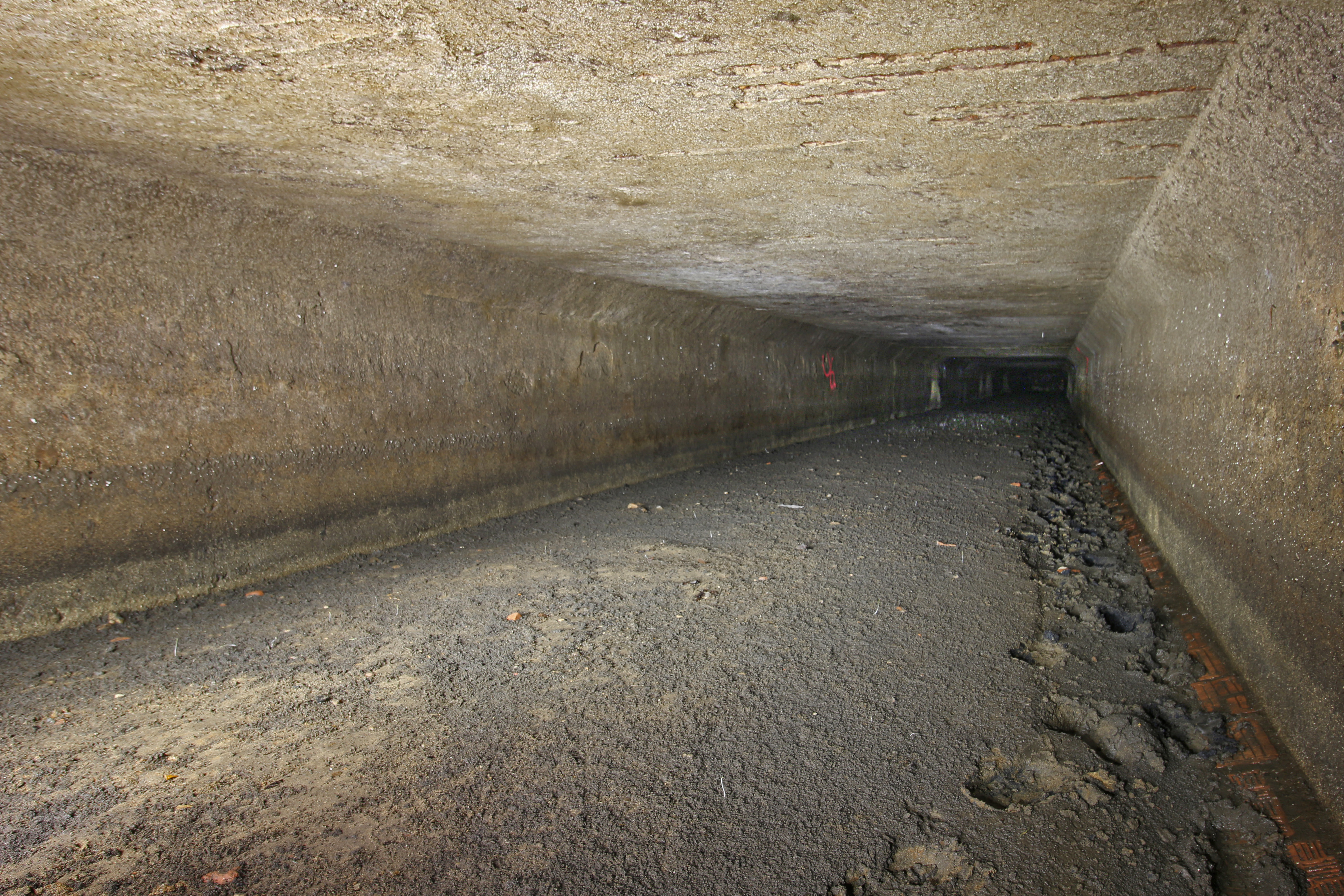 Největším objevem byla chodba obdélníkového průřezu o délce skoro 100 m, kterou protékala voda před budovou lázní. Židenice prostě stojí na vodě, jen to na rozdíl od Benátek neumíme prodat.