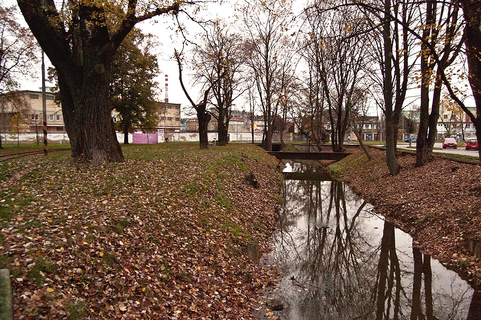 Počátek Svitavského náhonu v parku nedaleko Tkalcovské ulice.