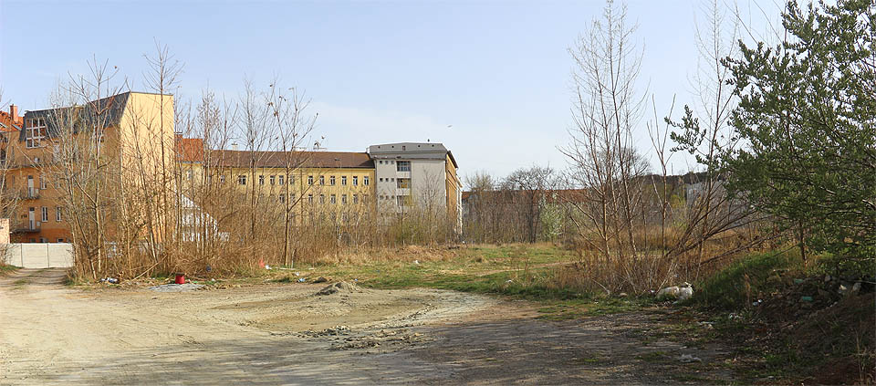 Tak vypadalo totéž místo o 11 let později, na jaře 2018. Po pavlačácích nezbyla ani památka, na ploše fabriky vyrůstá mladý lesík.