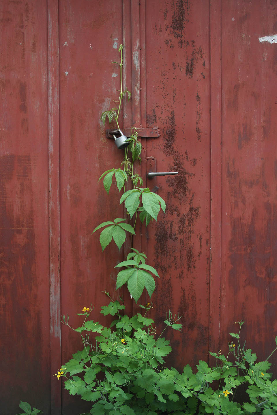 Dokonce i před nedávnem používané garáže na straně blíže <a href="/Tema/Cejl">Cejlu</a> působí dnes mírně pustě.