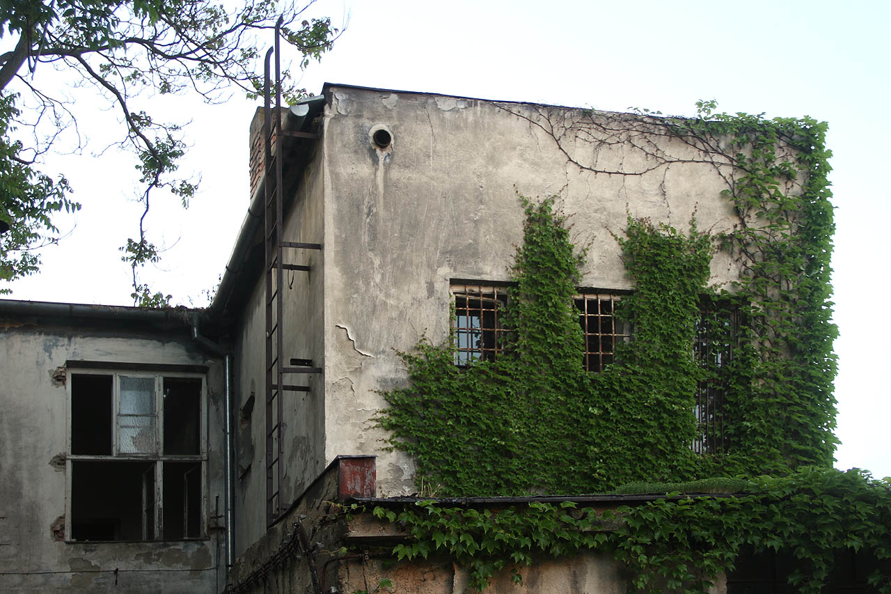 Znali snad tento pohled tvůrci nezapomenutelného Machinaria? Duši pátrače naplní bezbřehým pocitem blaženosti.