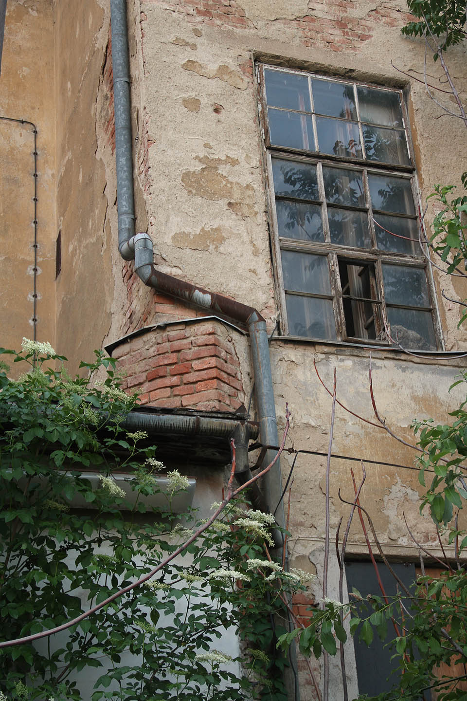 Symfonie rozkladu a zmaru.