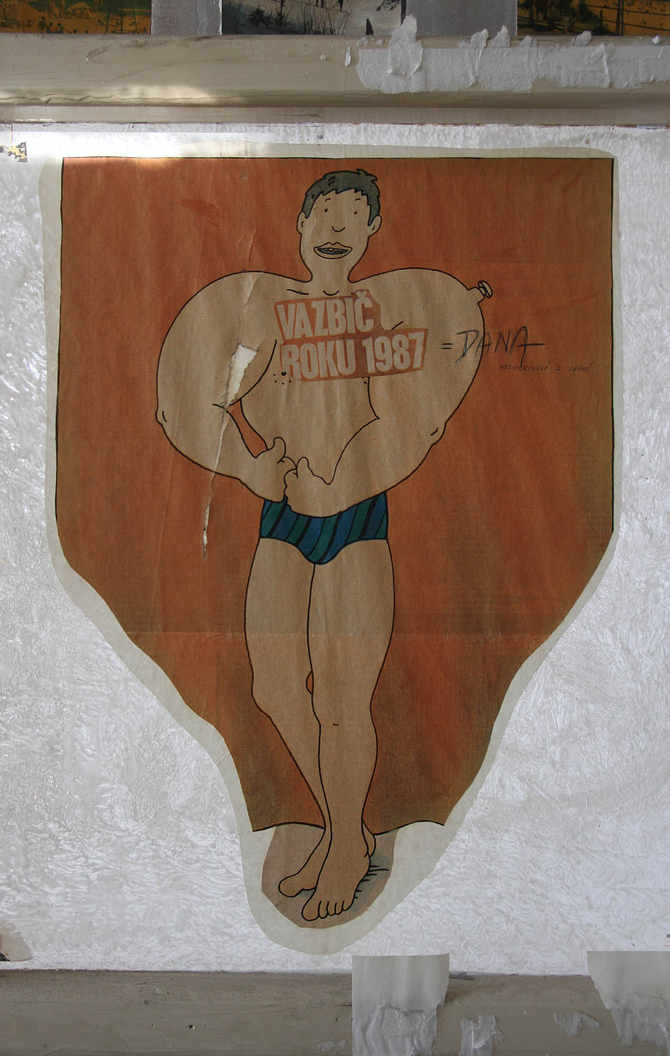 Aby nikdo nezapomněl, že Dana Mezihoráková se stala vazbičem roku 1987.