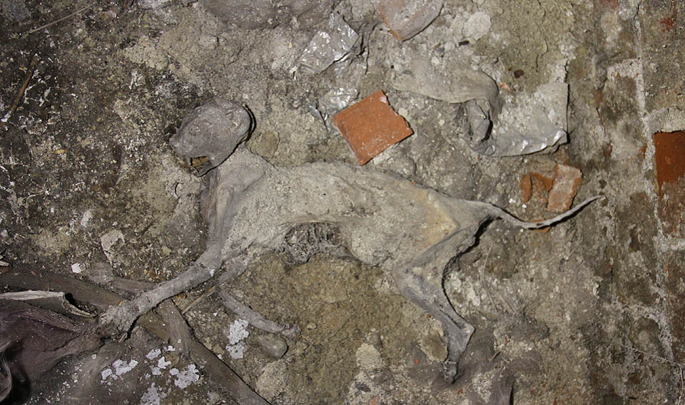 I tato místa však mají své děsivé strážce.