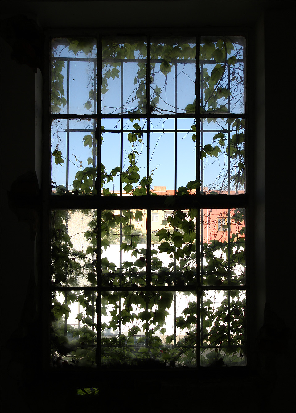 Konkrétně tento dům pojídají trifidé, kteří svým chlorofilem konzumují většinu světla a uvnitř se rozšiřuje tma.