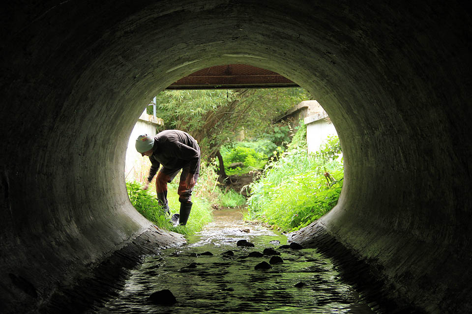 Pohled z tunelu potoka Časnýře na <a href=/Tema/Akvadukt%20%C4%8Casn%C3%BD%C5%99e>akvadukt</a> vedoucí na ostrov a druhý břeh řeky <a href=/Tema/Svitava>Svitavy</a>. Pohled z tunelu potoka Časnýře na <a href=/Tema/Akvadukt%20%C4%8Casn%C3%BD%C5%99e>akvadukt</a> vedoucí na ostrov a druhý břeh řeky <a href=/Tema/Svitava>Svitavy</a>.