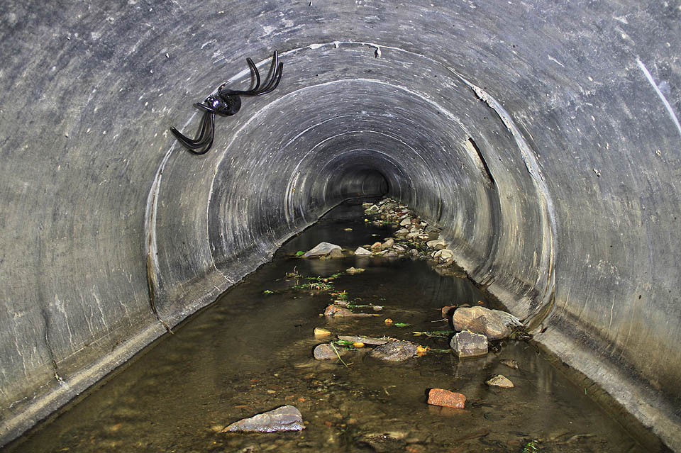 Jeho pravý účel je ale úplně jiný. Nebudeme ovšem prozrazovat víc, než je nutné. Jeho pravý účel je ale úplně jiný. Nebudeme ovšem prozrazovat víc, než je nutné.