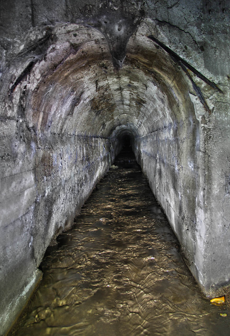 Navazující střední část tunelu je tvořená nepříliš kvalitní zaklenutou betonovou chodbou.