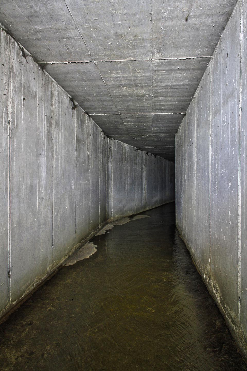 Vstupní (nejmladší a nejnižší) úsek tunelu je tvořen sterilní betonovou chodbou pod Podhorní ulicí.