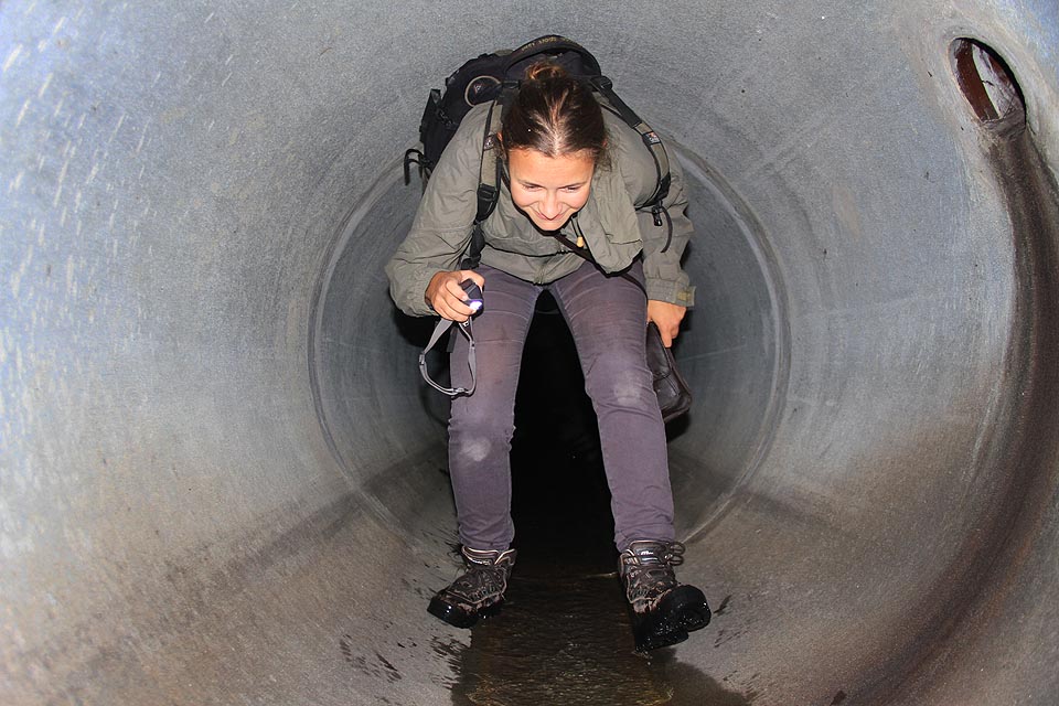 Průzkum severní větve dešťové kanalizace nepřinesl nic zvlášť zajímavého.