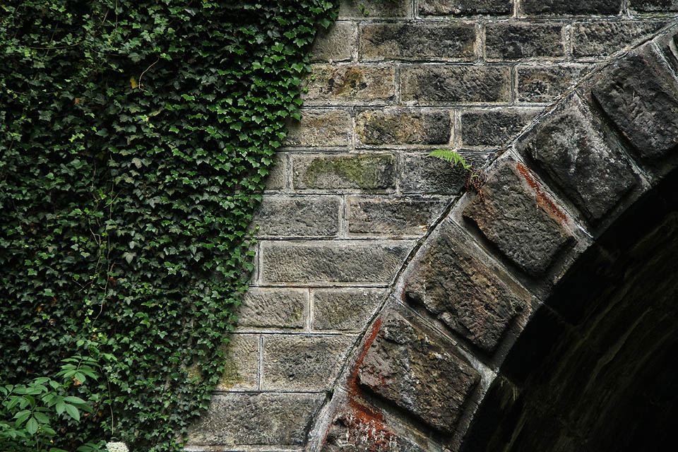 Břečťanem obrostlé kamenné zdivo připomína vstup do tajemného podzemí v zahradě opuštěného zámku nebo pilíře mostu mizejícího v pohádkové džungli.