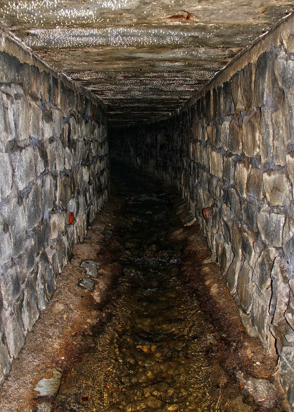 Potok protéká pod chodníkem na pravé straně údolí Dolní Palava.