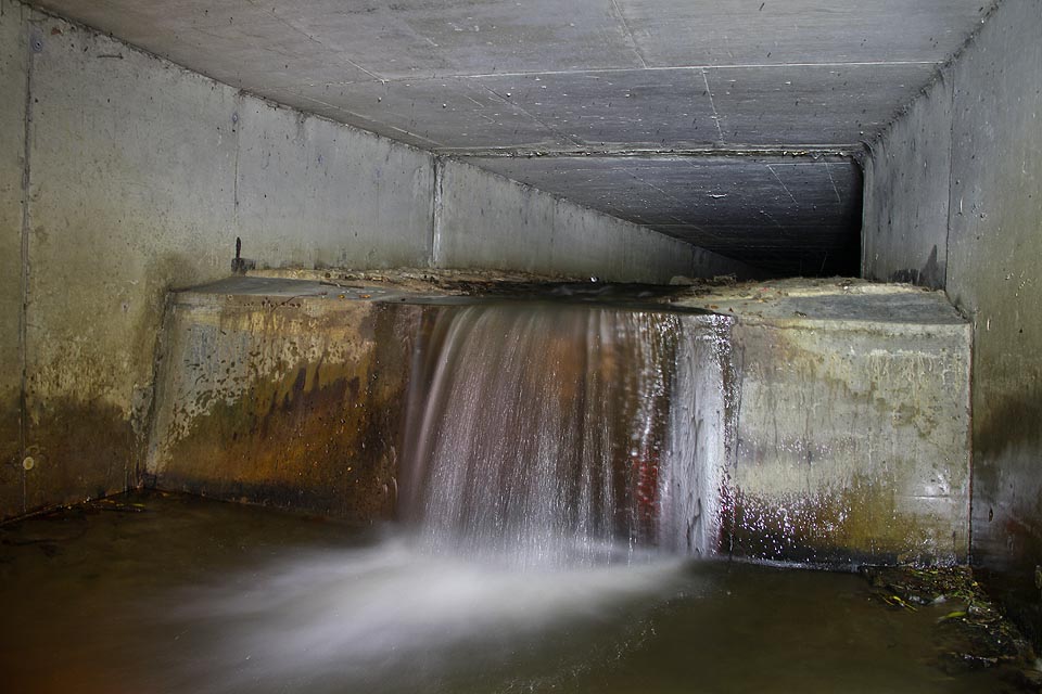První stupeň před snížením profilu (pravděpodobně z důvodu křížení s kmenovou stokou A).
