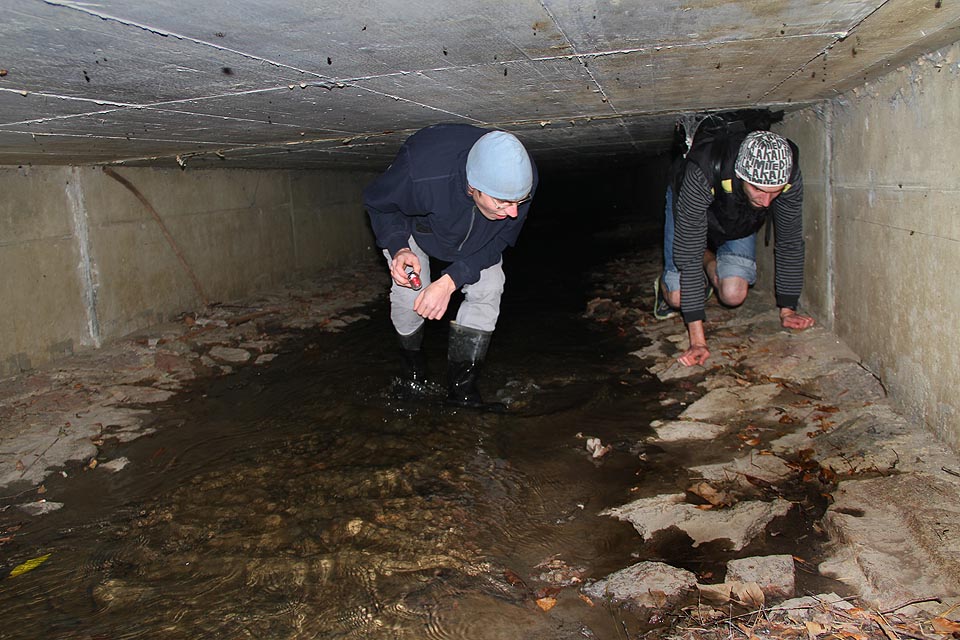 Následující úsek pod jižní částí Rožmitálovy ulice je průchozí jen s obtížemi.