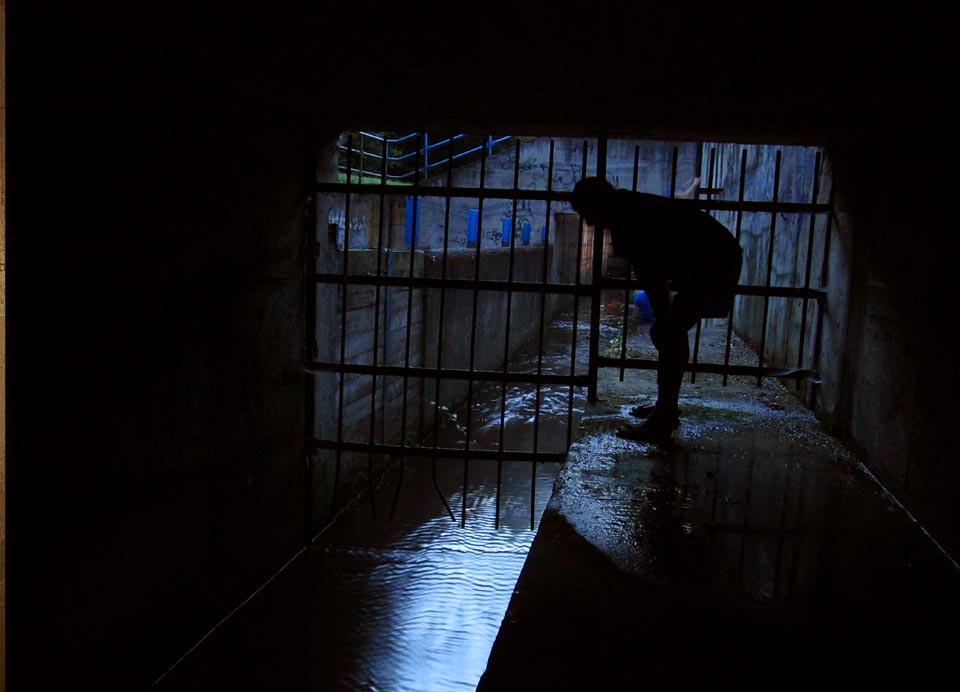 Dřív, než se stihneme pod <a href=/Tema/Brno-Kr%C3%A1lovo%20Pole%20%28%C5%BEst%29>královopolským nádražím</a> podsoukat pod mříží na světlo světa, přichází tma.