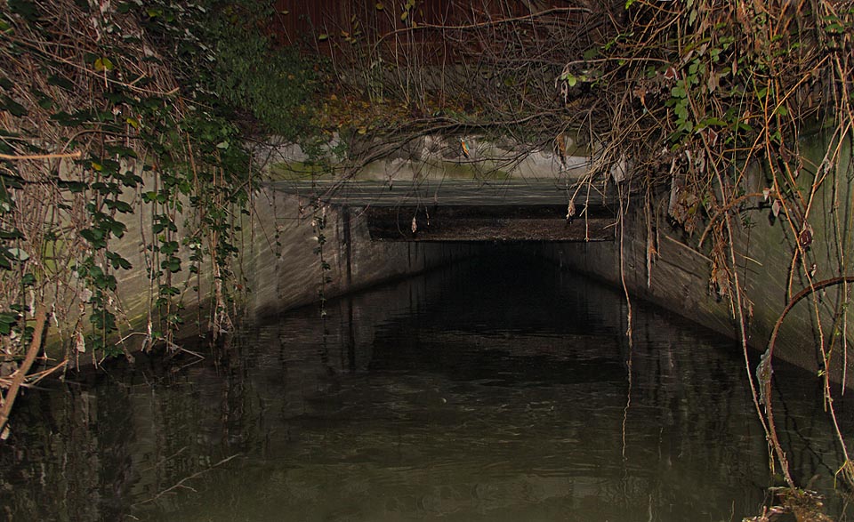 A to je on. Tunel, který ústí pod Mlýnskou ulicí v hustém křoví za zdí, přes kterou není vidět. Sem se dá dostat jen na lodi - a to platí i uvnitř. Hladina zatuchlé vody ode zi  ke zdi a představy, co by se stalo, kdyby se loď překlopilaa, však nejsou to, co nás děsí nejvíce. Teprve sílící hukot valící se vody kdesi před námi a podivné proudy, které nás nečekaně a nesmyslně i s lodí vtahují dovnitř, nám mírně naženou strach.