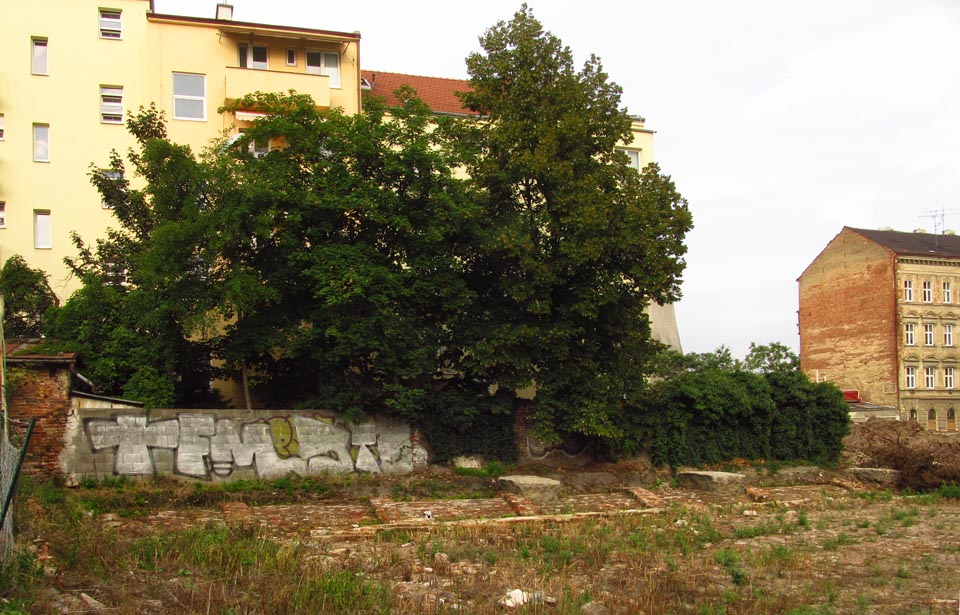 Shora odkryté klenutí tunelu staré Ponávky ve dvoře zbouraného domu mezi ulicemi Koliště a Vlhká.
