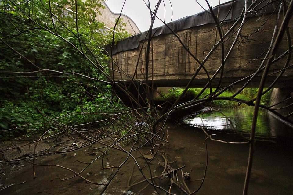 Místy je plavba takřka nemožná. Dno náhonu zdobí staré bicykly, kusy betonu a pneumatiky - a když je na chvíli k dispozici dostatečná hloubka, vrhnou se na nás coby živé bytosti keře, bránící nám v postupu vpřed desítkami svých pařátů.